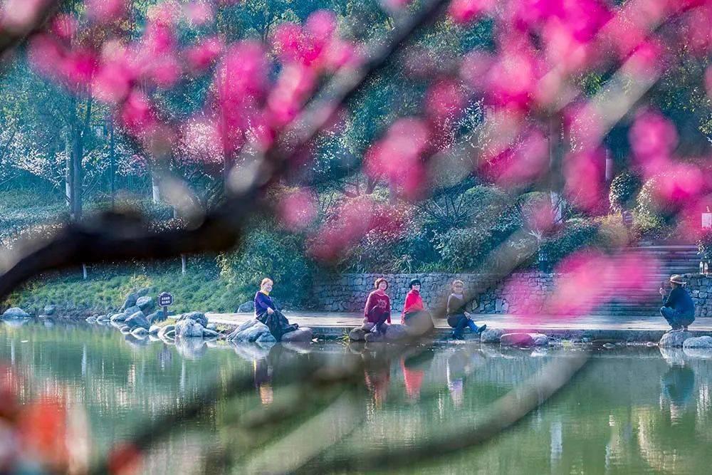 小岛秀夫《死亡搁浅》导剪版上架 仅需146元